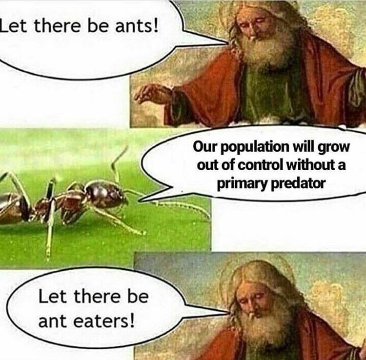 Thank you ants for telling me - meme