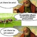 Thank you ants for telling me