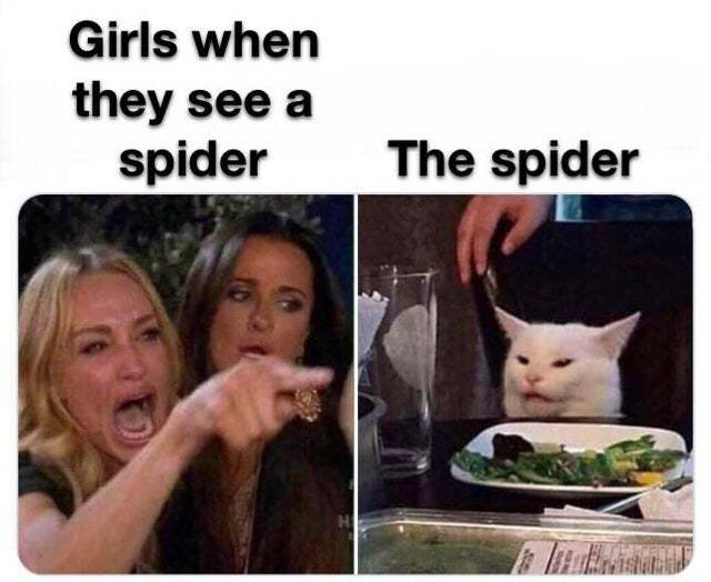 Girls when they see a spider vs the spider - meme