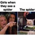 Girls when they see a spider vs the spider