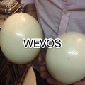 Wevos