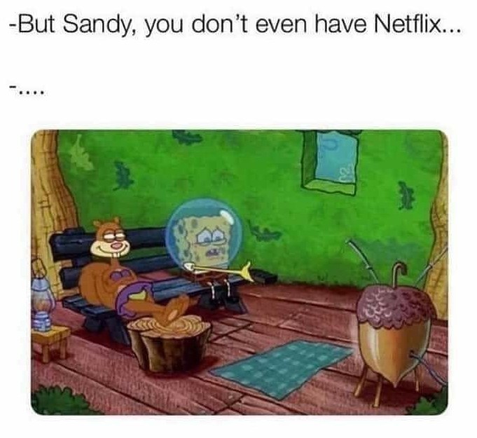 Sandy knows exactly what she's doing - meme