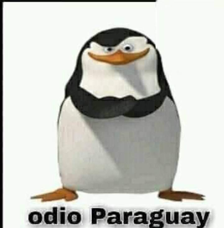 Odio Paraguay - meme
