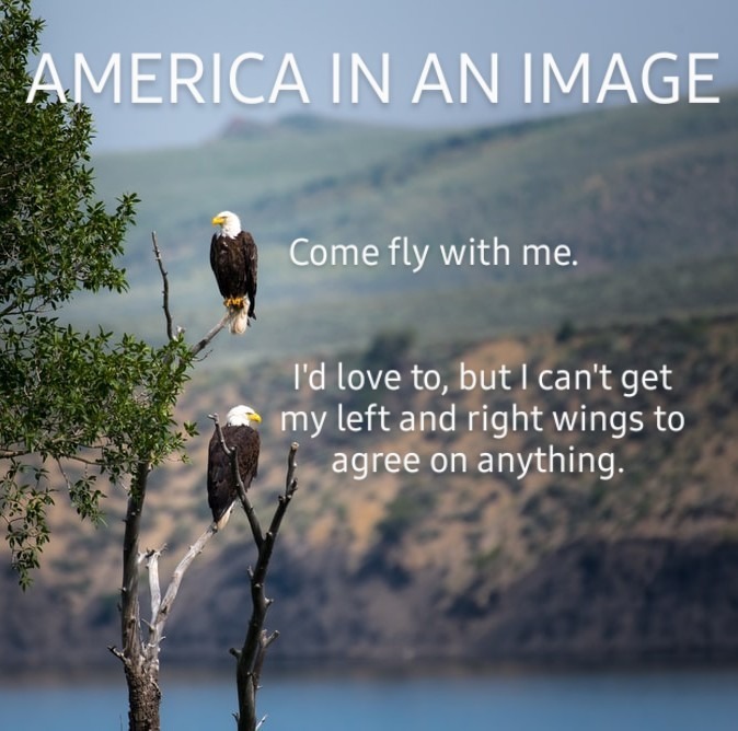 The eagle has landed - permanently - meme