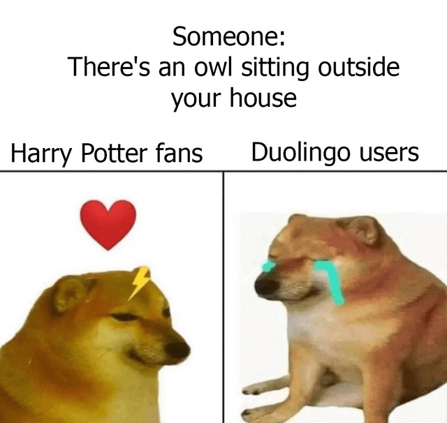 Harry Potter fans and Duolingo users - meme