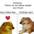Harry Potter fans and Duolingo users
