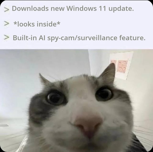 Windows 11 update - meme