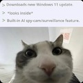 Windows 11 update