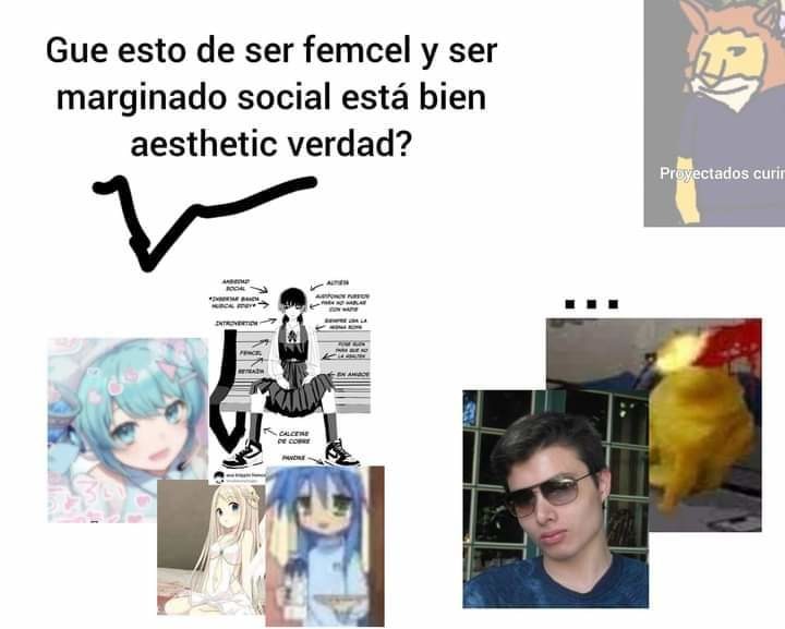 incel es cuando críticas a alguien por sus malas acciones etc.... - meme