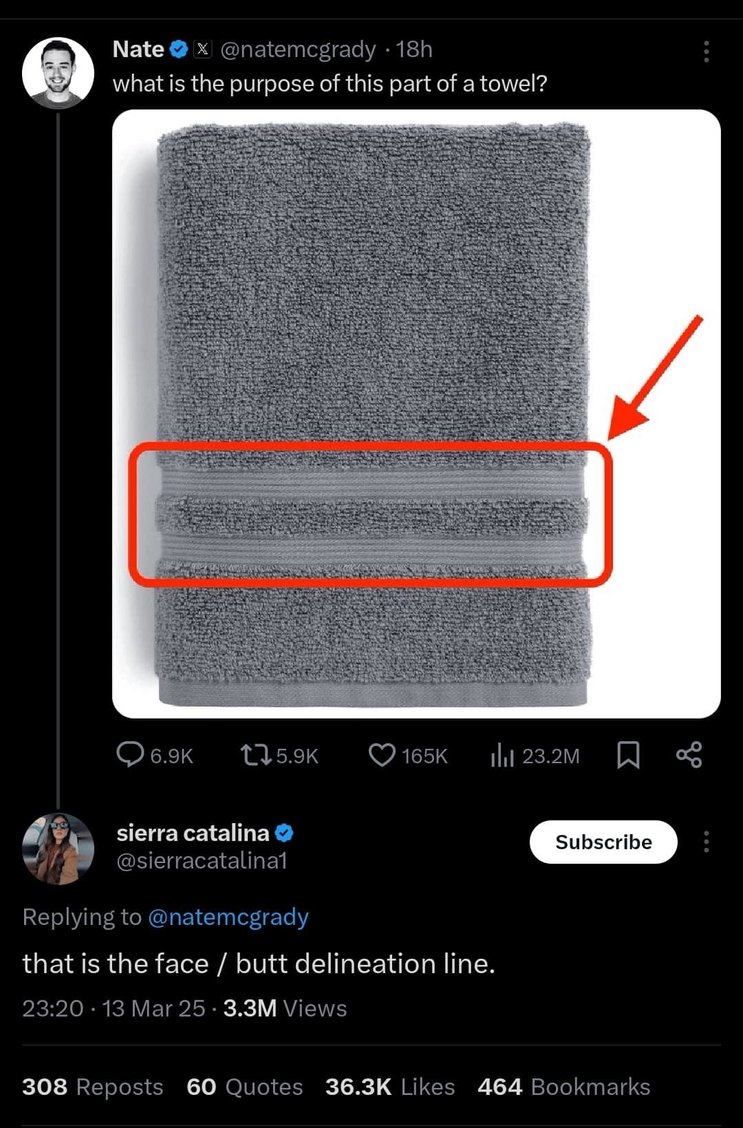 Towel anatomy: this is the face/butt border - meme