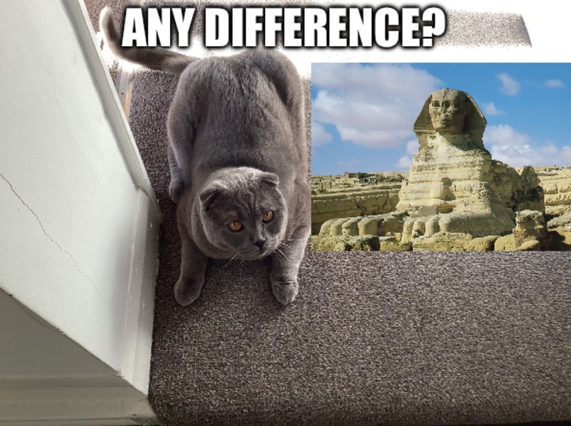 Oh.MY CAT LOOKS LIKE A CAT PYRAMID.HAHAHA. - meme