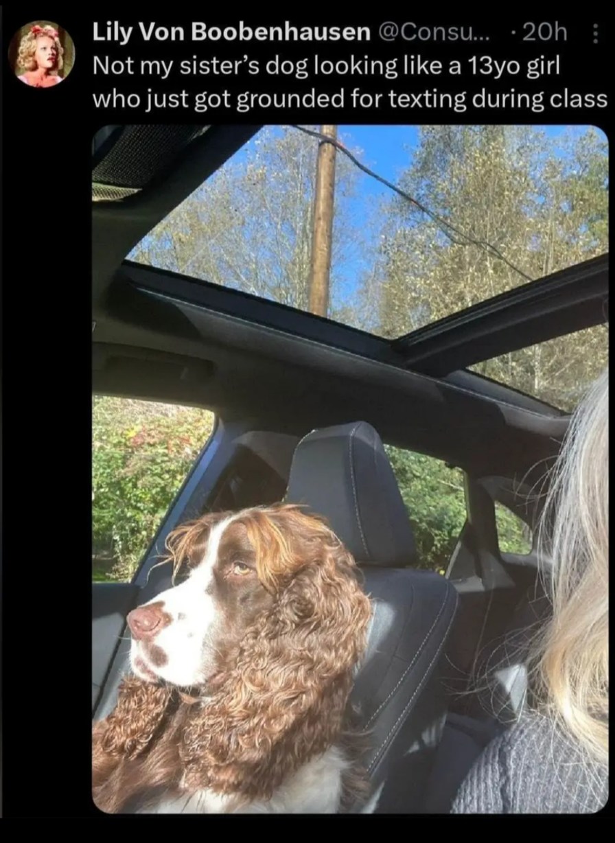 She got grounded energy and knows it - meme