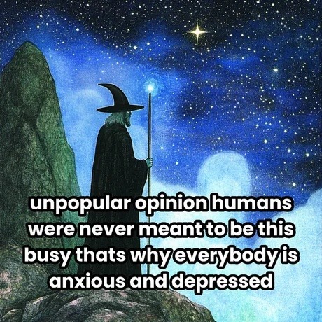 Humans weren’t built for this level of busyness - meme