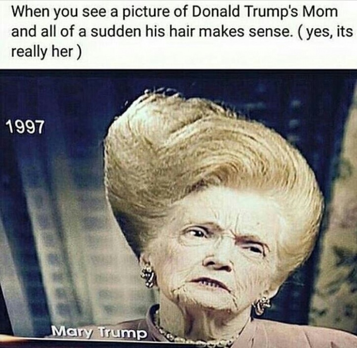 Trump's mother - meme