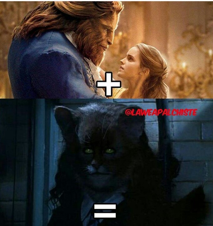 Hermione... - meme