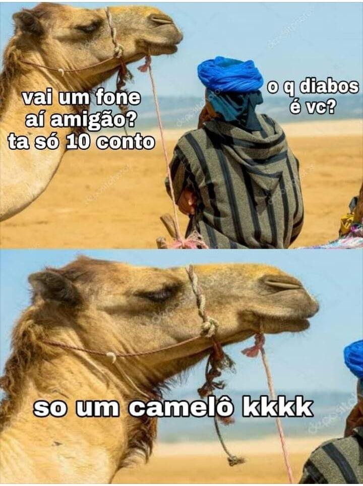Camelo - meme