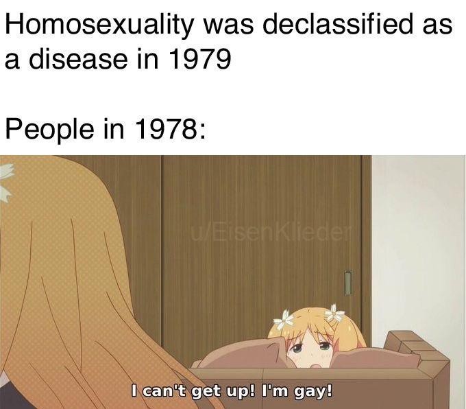 I'm gay..... no homo - meme