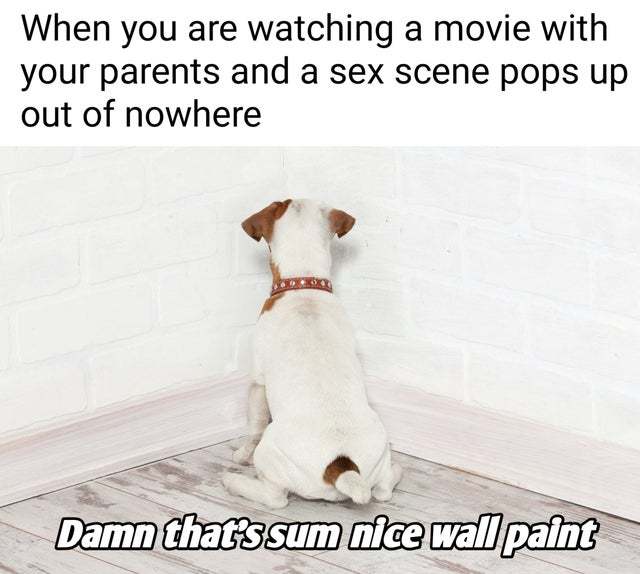 When you are watching a movie with your parents and a sex scene pops up out of nowhere - meme