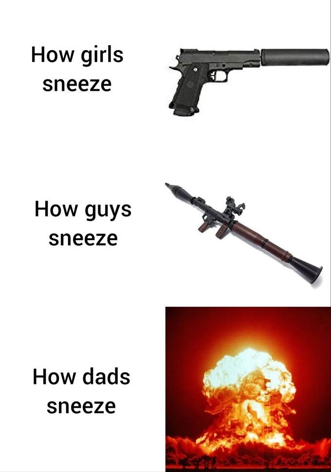 The sneeze chart - meme