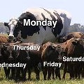 Monday vs the rest of the days