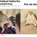 commented item thumbnail