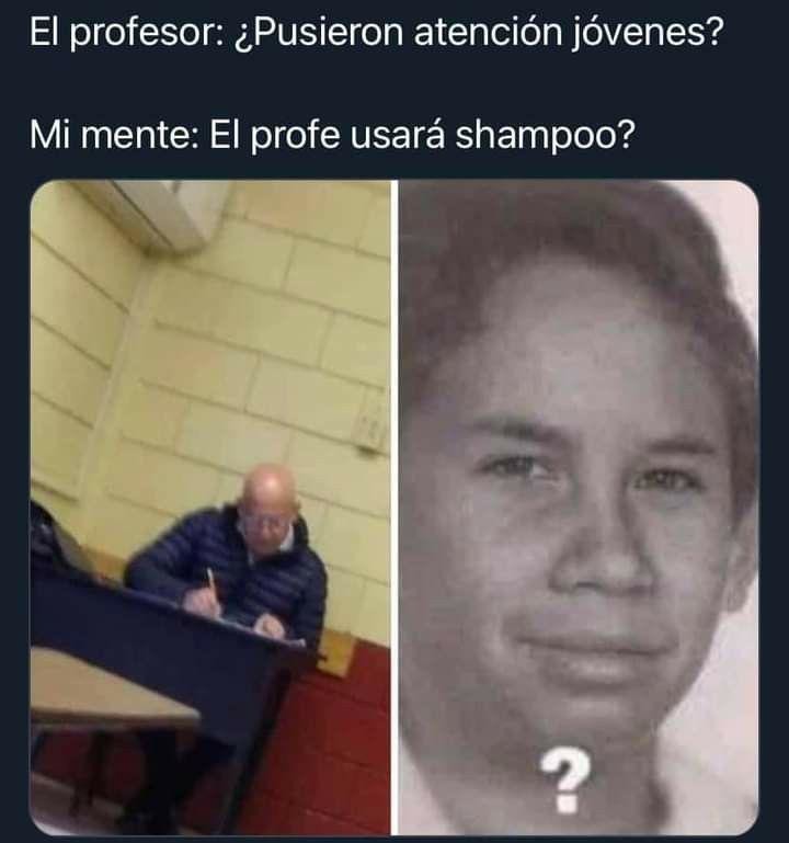 No da risa risa solo no se qie publicar prros - meme