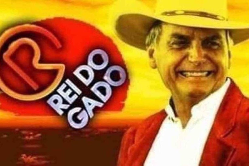 Saúdam O rei do gado - meme