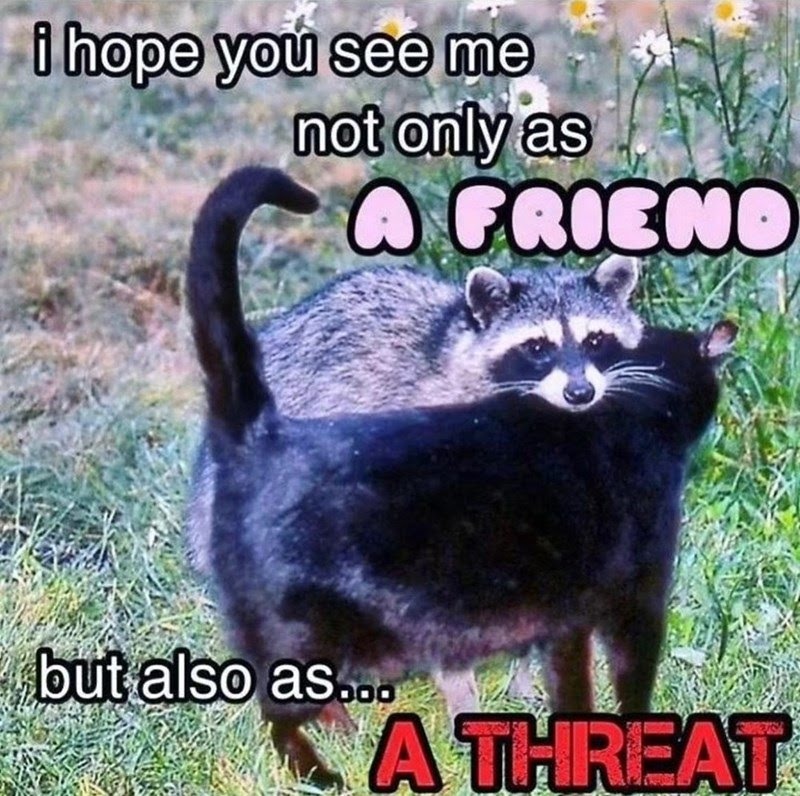 Rabies are on the rise - meme