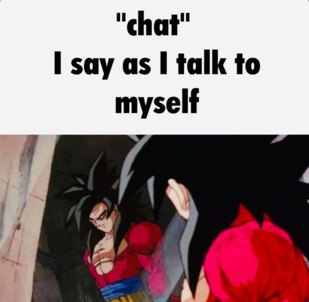 Me: opens chat app, proceeds to monologue like it’s a diary - meme