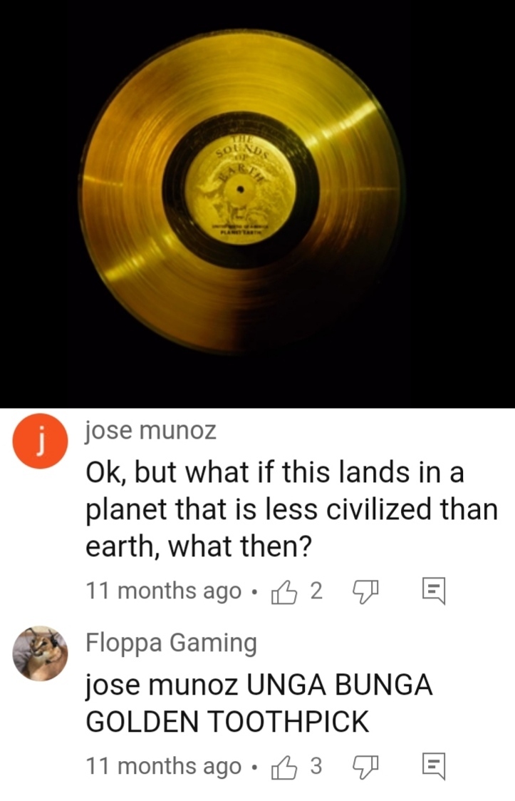 The golden record with earth sounds that was sent by NASA through space for aliens to find it - meme