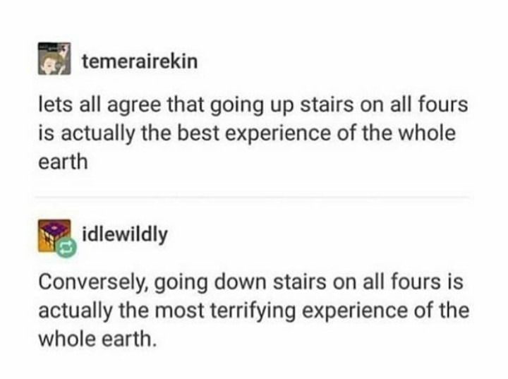 Stairs - meme