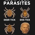 Different kinds of Parasites