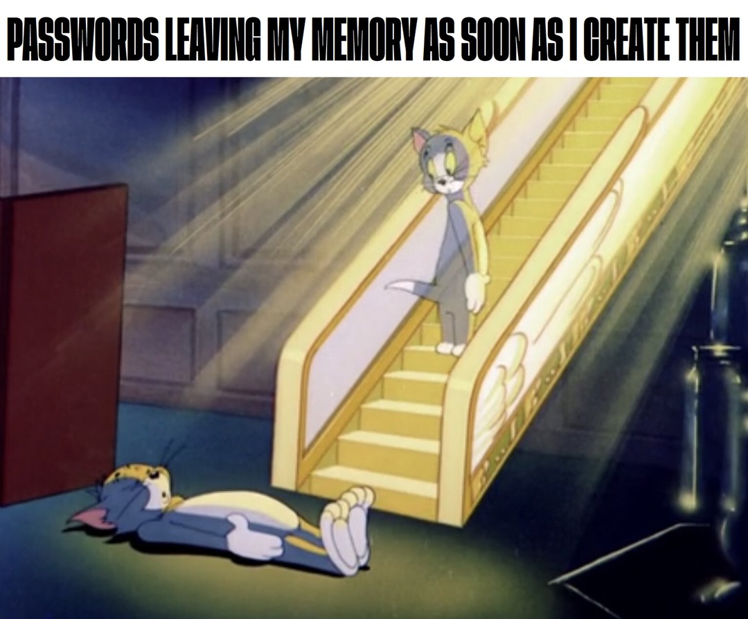 Passwords leaving my memory - meme