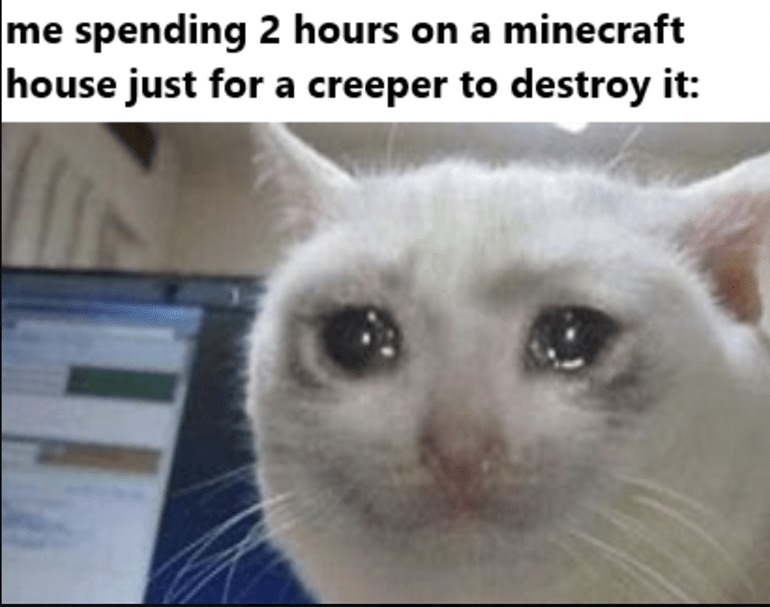Spending 2 hours on a Minecraft house - meme