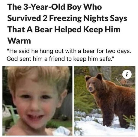 3yo boy survived thanks to a bear - meme