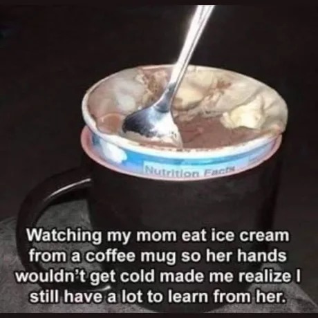 mom wisdom - meme