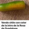 commented item thumbnail
