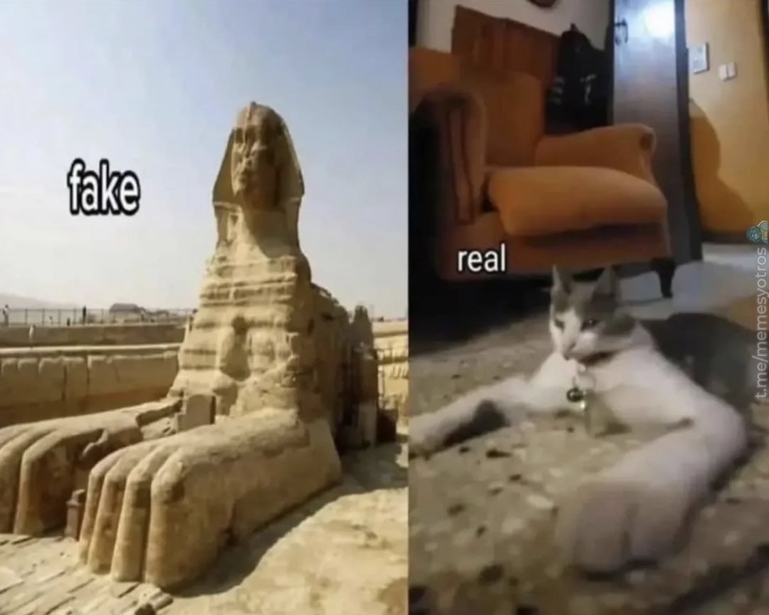 fake vs real - meme