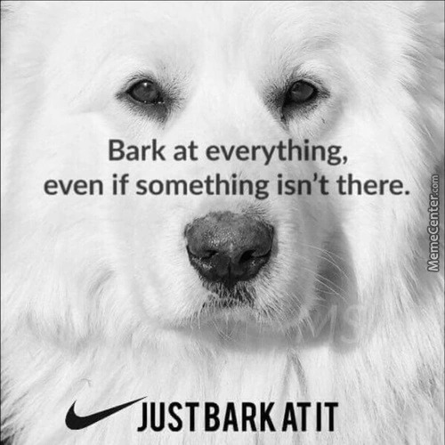 Just Bark..cute doggo - meme
