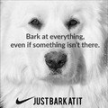 Just Bark..cute doggo