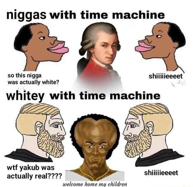Dongs in a time machine - meme