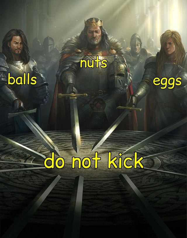 Do not kick - meme