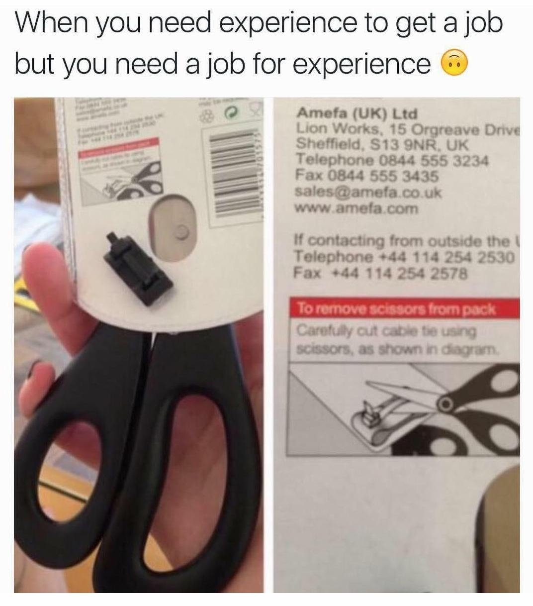 Lol - meme