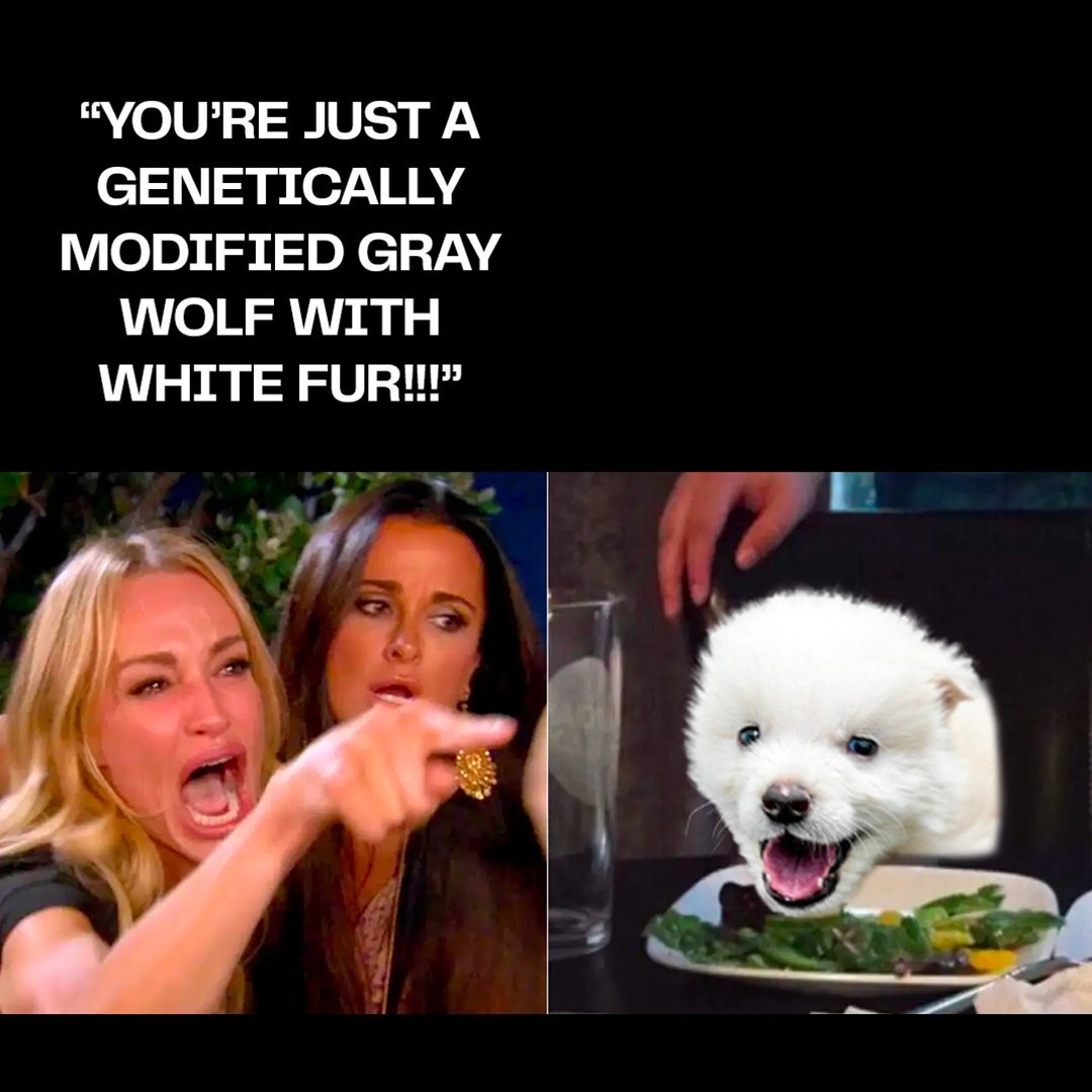 cry more - meme