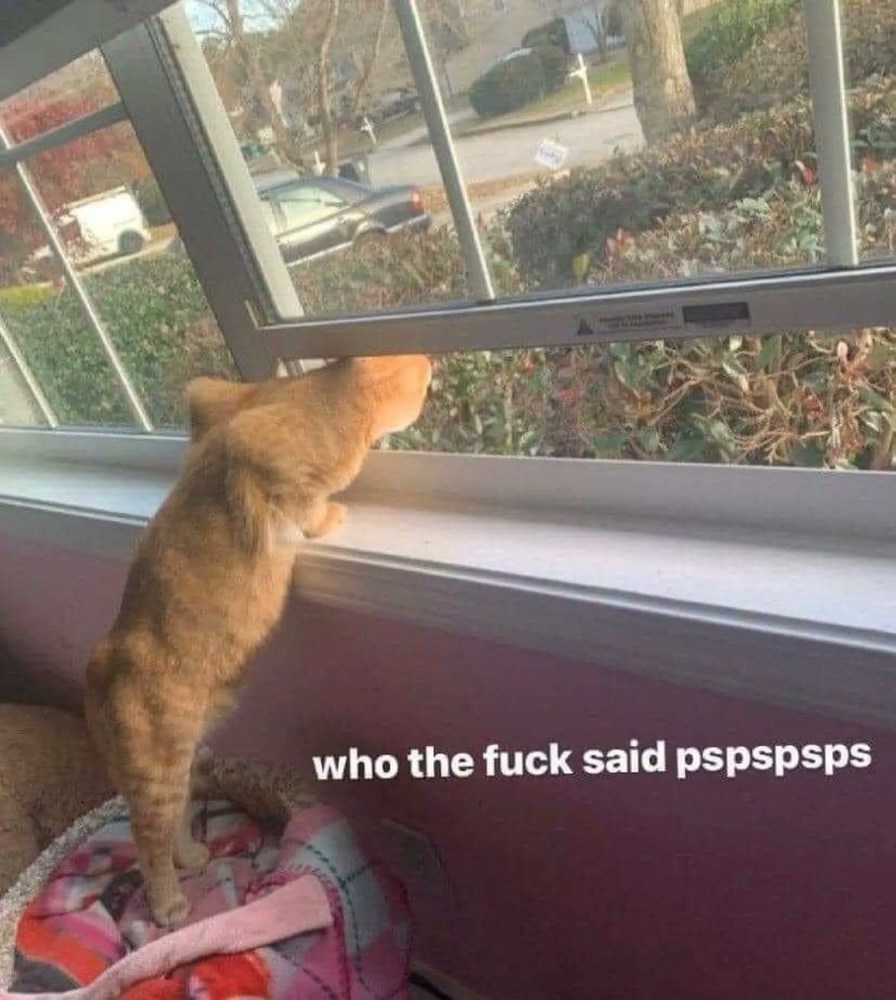 yeah - meme