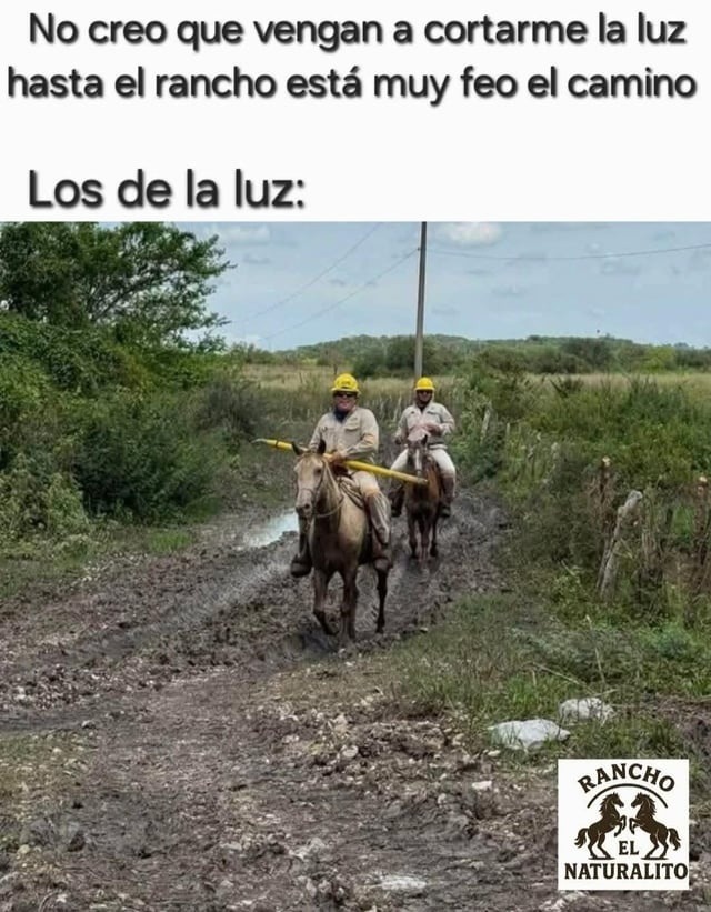 los de la luz no perdonan - meme