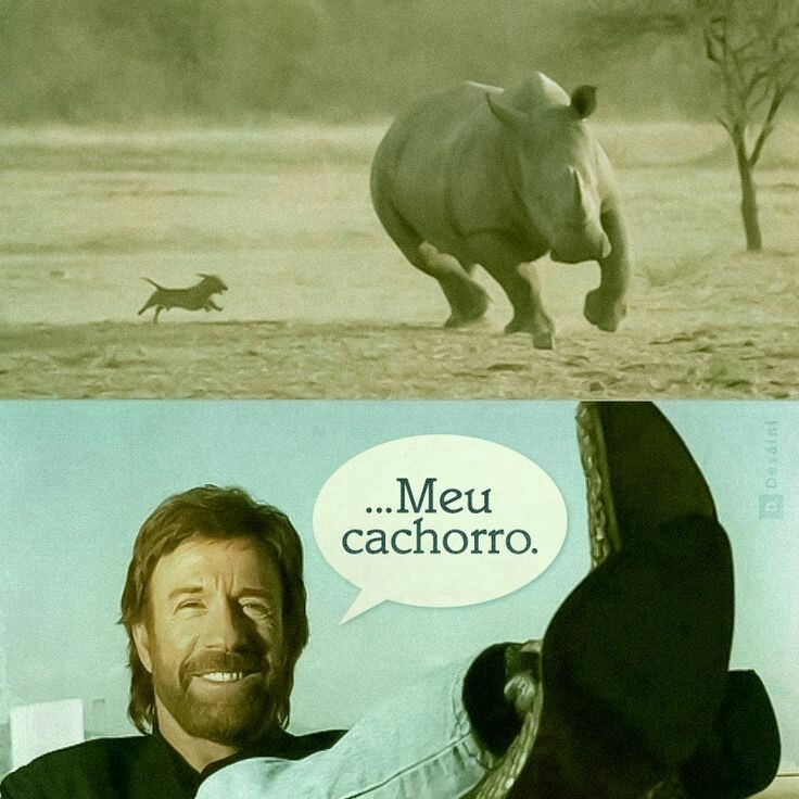Coitado do rinoceronte - meme