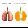 Vegan lungs..