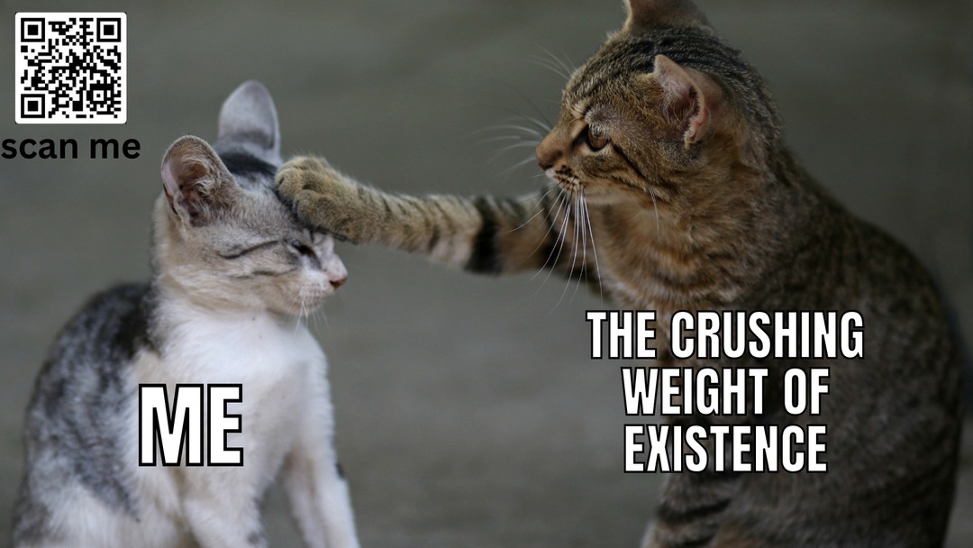 cat cruishing - meme