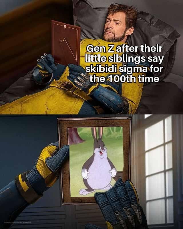 Big chungus where are you now - meme